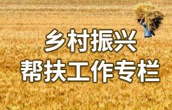 正文适合核对表述