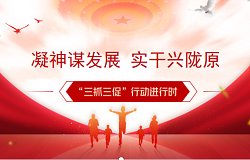 同栏目条目通常按时间倒序排列