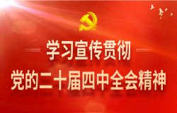 建议先扫读标题与摘要